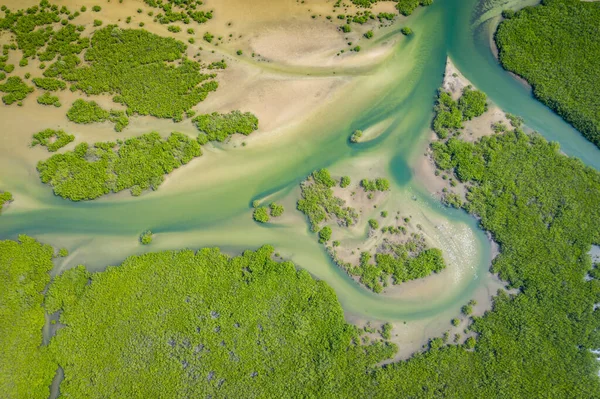 Vista aérea del bosque de manglares en el Delta del Saloum National Par — Foto de Stock