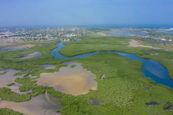 Повітряний вид мангрових лісів у Гамбії. Фото зроблене дроном fr — стокове фото