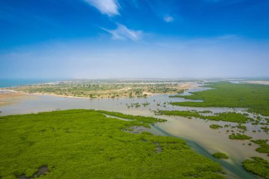 Saloum Delta Ulusal Par 'daki mangrov ormanının havadan görünüşü
