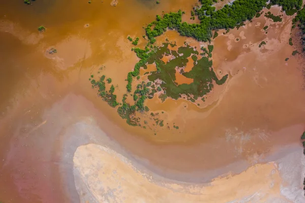 Letecký pohled na národní rezervu v jižní části Gambie, západní Afrika. — Stock fotografie