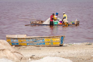 Lac Rose, Senegal - 13 Kasım 2019: İnsanlar tuz topluyor