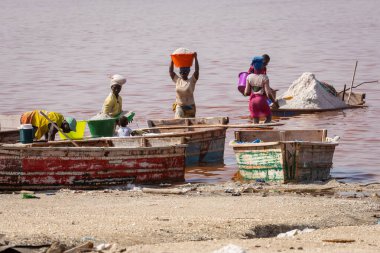 Lac Rose, Senegal - 13 Kasım 2019: İnsanlar tuz topluyor