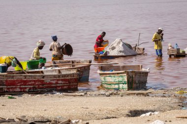 Lac Rose, Senegal - 13 Kasım 2019: İnsanlar tuz topluyor