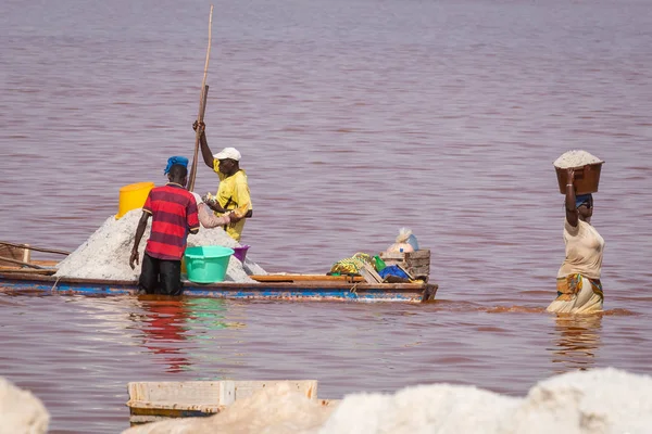 セネガルのラックローズ-2019年11月13日:塩を収穫する人々 — ストック写真