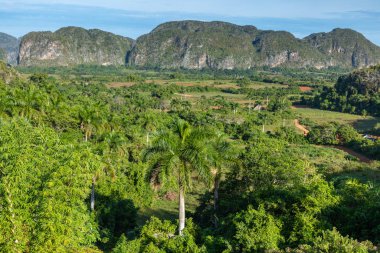 Vinales Vadisi, Cu 'da mogotlarla panoramik manzara