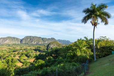 Vinales Vadisi, Cu 'da mogotlarla panoramik manzara