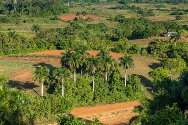 Vinales Vadisi, Cu 'da mogotlarla panoramik manzara