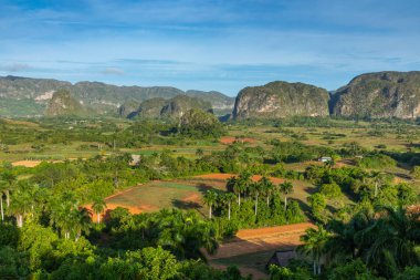 Panoramic view over landscape with mogotes in Vinales Valley, Cu clipart