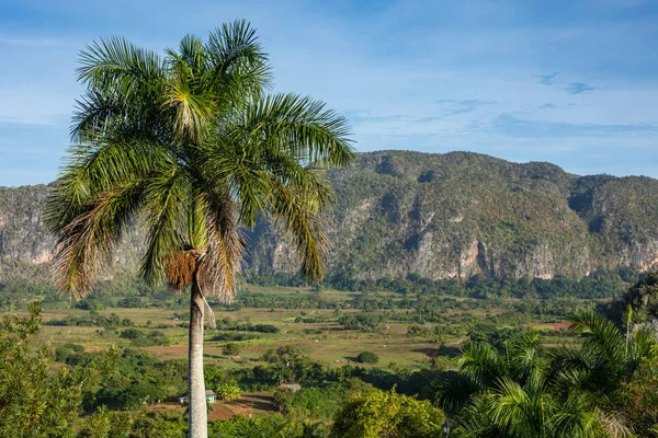 Panoramautsikt över landskapet med mogotes i Vinales Valley, Cu — Stockfoto