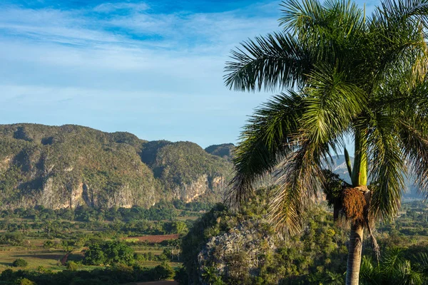 Vista panorámica del paisaje con mogotes en el Valle de Vinales, Cu — Foto de Stock