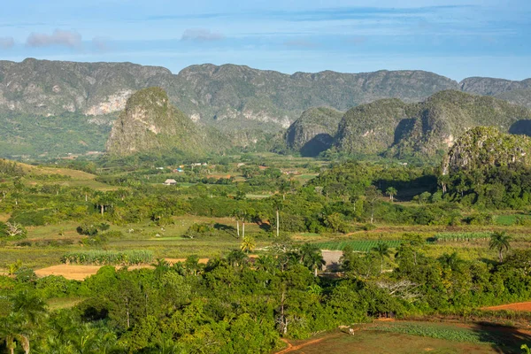 Panoramablick über Landschaft mit Buckelpisten im Vinales-Tal, — Stockfoto