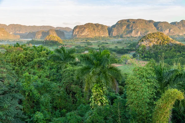 Panoramablick über Landschaft mit Buckelpisten im Vinales-Tal, — Stockfoto