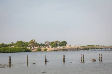 Tarihi Fadiauth Adası 'na bakın. Senegal. Batı Afrika.