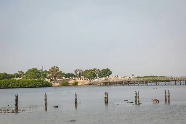 Tarihi Fadiauth Adası 'na bakın. Senegal. Batı Afrika. — Stok fotoğraf