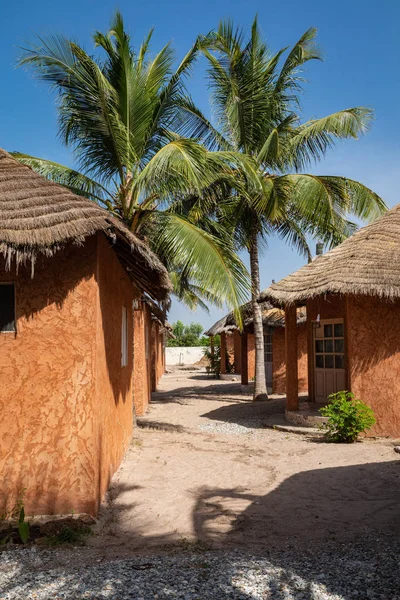 Complejo turístico tradicional en Senegal. Palmeras verdes grandes . — Foto de Stock