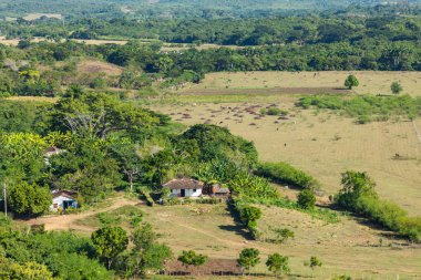 Küba 'daki Valle de los Ingenios (Vadi şeker fabrikaları), ünlü bir tou.