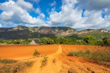 Vinales Vadisi. Çiftlik ve m ile tipik Valle de Vinales manzarası