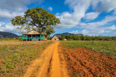 Vinales Vadisi. Çiftlik ve m ile tipik Valle de Vinales manzarası