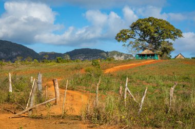 Vinales Vadisi. Çiftlik ve m ile tipik Valle de Vinales manzarası