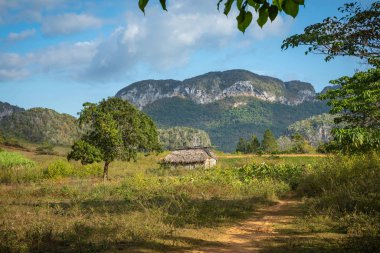 Vinales Vadisi. Çiftlik ve m ile tipik Valle de Vinales manzarası