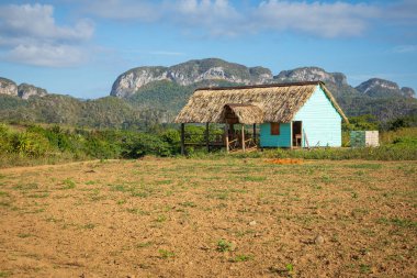 Vinales Vadisi. Çiftlik ve m ile tipik Valle de Vinales manzarası
