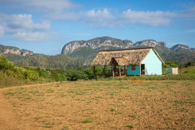 Vinales Vadisi. Çiftlik ve m ile tipik Valle de Vinales manzarası