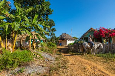 Vinales Vadisi. Çiftlik ve m ile tipik Valle de Vinales manzarası