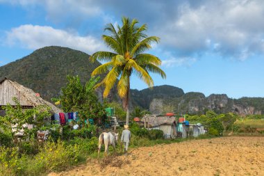 Vinales Vadisi. Çiftlik ve m ile tipik Valle de Vinales manzarası