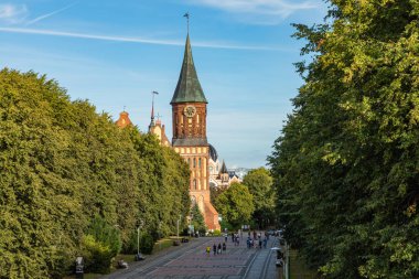 Kaliningrad, Rusya - 4 Eylül 2019: Kant 'ın Katedrali