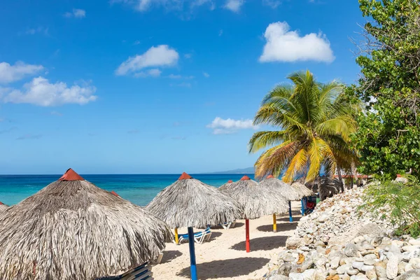 Τρινιντάντ, Κούβα. Καρύδα σε μια εξωτική παραλία με φοίνικα enteri — Φωτογραφία Αρχείου