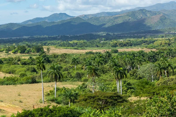 Valle de los Ingenios (sockerbruk i Valley) på Kuba, en berömd tou — Stockfoto