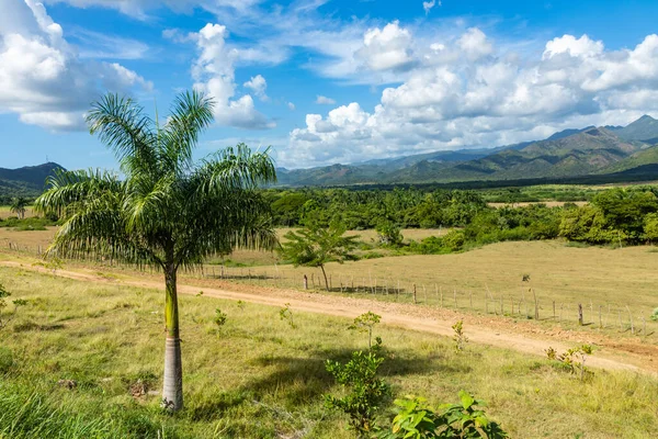 Valle de los Ingenios (sockerbruk i Valley) på Kuba, en berömd tou — Stockfoto