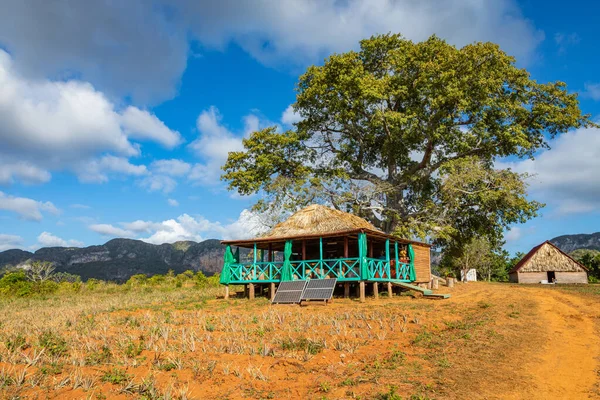 Vinales Vadisi. Çiftlik ve m ile tipik Valle de Vinales manzarası — Stok fotoğraf