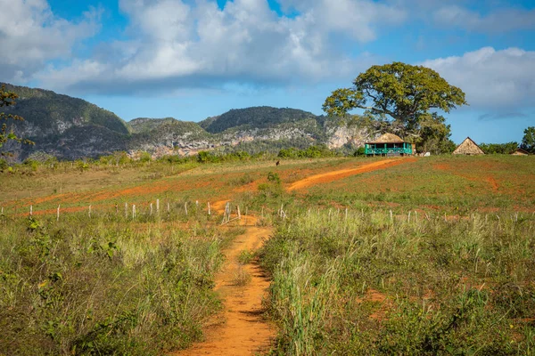 Vinales Valley. Typisk utsikt över Valle de Vinales med gård och m — Stockfoto