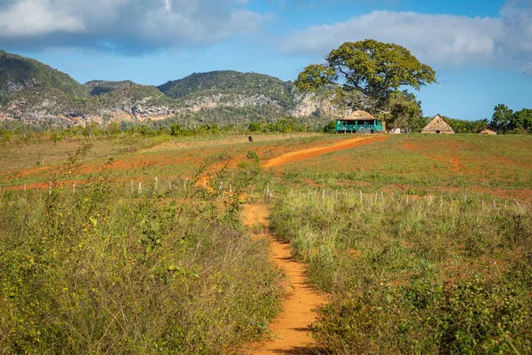 Vinales Valley. Typisk utsikt över Valle de Vinales med gård och m — Stockfoto