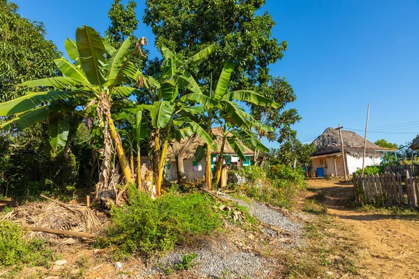 Vinales Valley. Typisk utsikt över Valle de Vinales med gård och m — Stockfoto