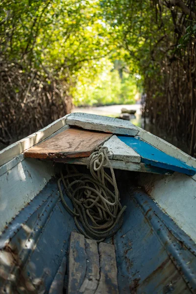Gambia Mangroven. Traditionele lange boot. Groene mangrovebomen in — Stockfoto