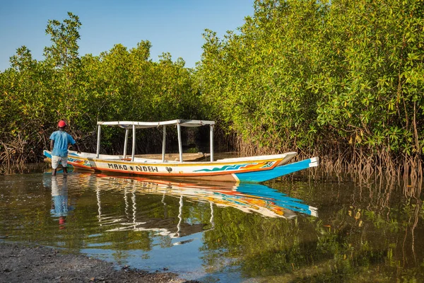 Gambia Mangroven. Traditionele lange boot. Groene mangrovebomen in — Stockfoto