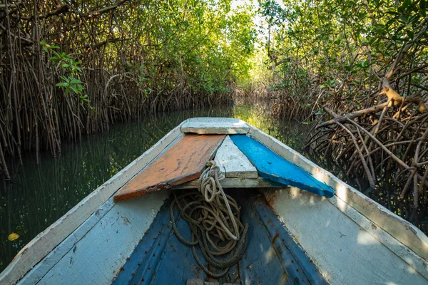 Mangrowe Gambia. Tradycyjna długa łódź. Zielone drzewa namorzynowe w — Zdjęcie stockowe