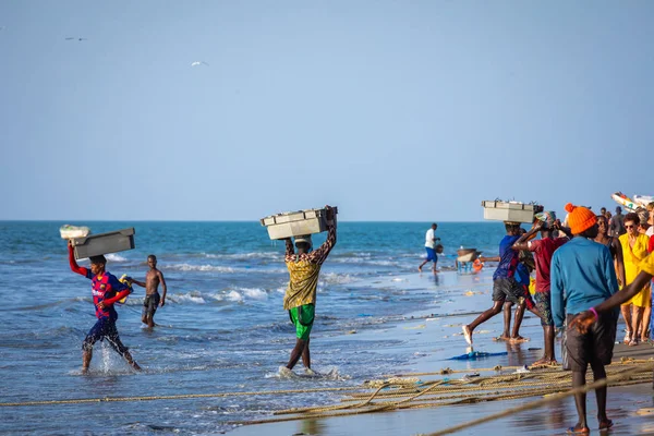 TANJI, THE GAMBIA - NOVEMBER 21, 2019: Scene with men and women — ストック写真