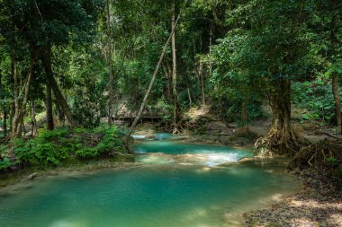 Luang prabang 'da Tad Sae Şelalesi, Laos