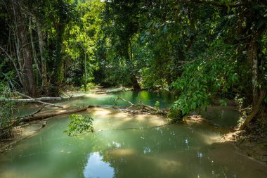 Luang prabang 'da Tad Sae Şelalesi, Laos