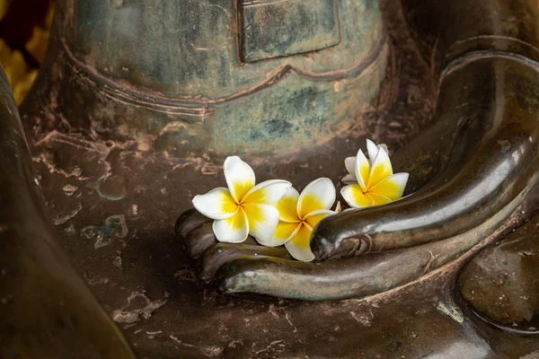 Buddha staty vid buddisttemplet i Laos. — Stockfoto