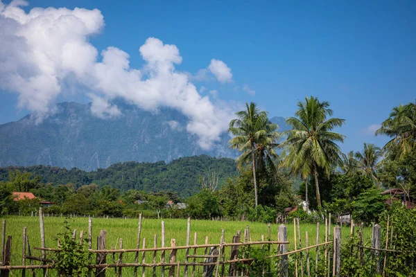 Tropiska byn Vang Vieng, Laos. Gröna palmer. — Stockfoto