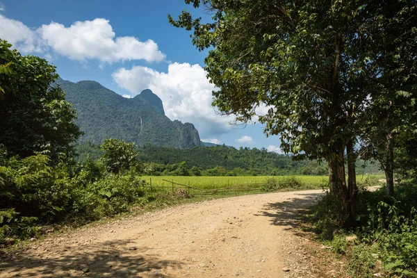 Tropiska byn Vang Vieng, Laos. Gröna palmer. — Stockfoto