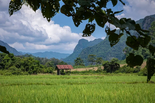 Trópusi falu Vang Vieng, Laosz. Zöld tenyér. — Stock Fotó