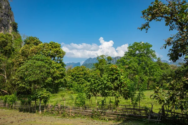 Tropisches Dorf vang vieng, laos. grüne Palmen. — Stockfoto