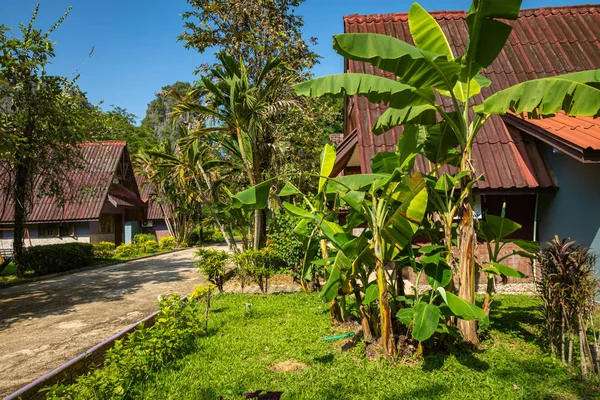 Trópusi falu Vang Vieng, Laosz. Zöld tenyér. — Stock Fotó