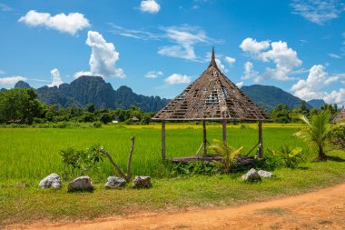 Yeşil pirinç tarlaları ve dağlar, Vang Vieng, Laos, Güneydoğu Asi
