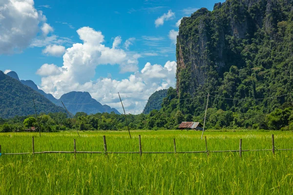 Grönt ris fält och berg, Vang Vieng, Laos, sydöstra Asi — Stockfoto